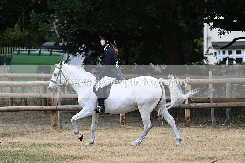 WJ7_0601 - Class 2 Best rider