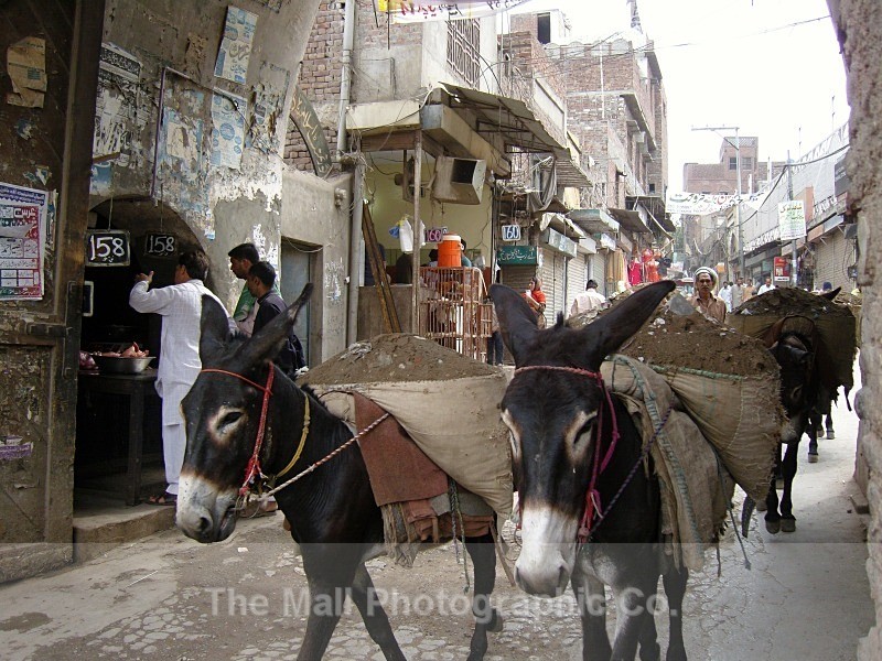  - The Walled City
