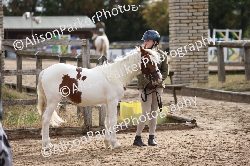 20260831-0626 - Class 2 - Youngstock
