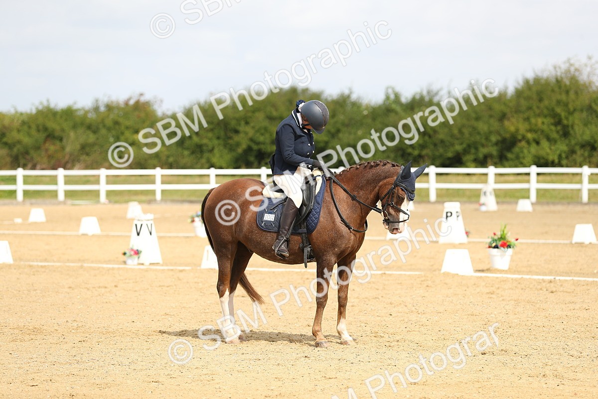 SBM_016309 - Class 13 - Novice 23 - 11.25-12.35