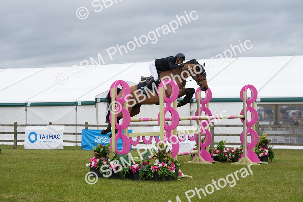 SBM_03388 - Class 201 - British Horse Feeds Speedi Beet Horse of the Year Show Grade  C