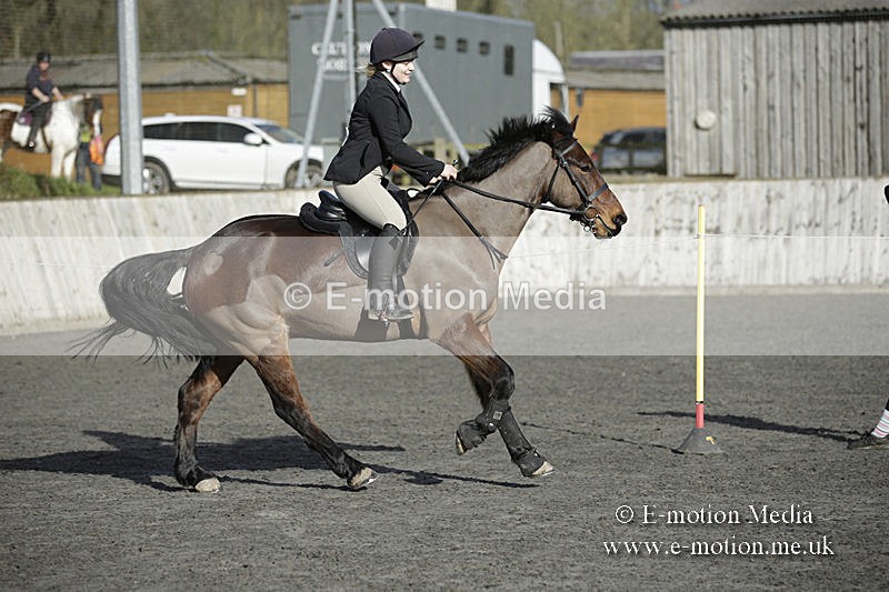 BVRC 050320 0040 - Bourne Valley riding Club Show Jumping Tidworth 08/03/20