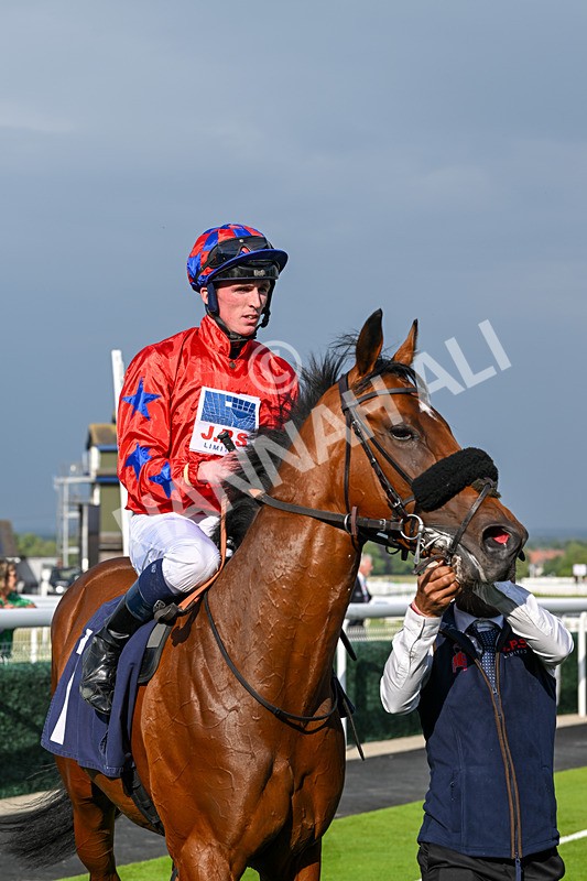 170625-Race 1-Command The Stars-5668 - Race 1