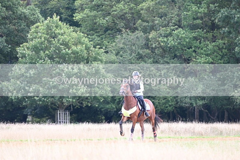 DSC_7291 - Time at Statue 13:16 to 13:52