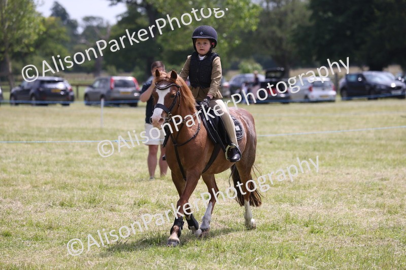 20260614-2013 - Class 21 - Novice Working Hunter Pony