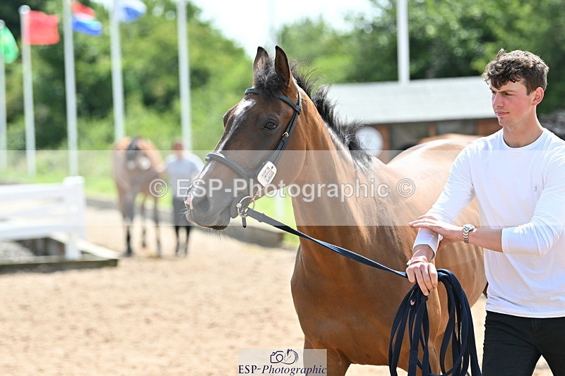 240717A-150228-02469 - Trot Up 3pm to 4pm