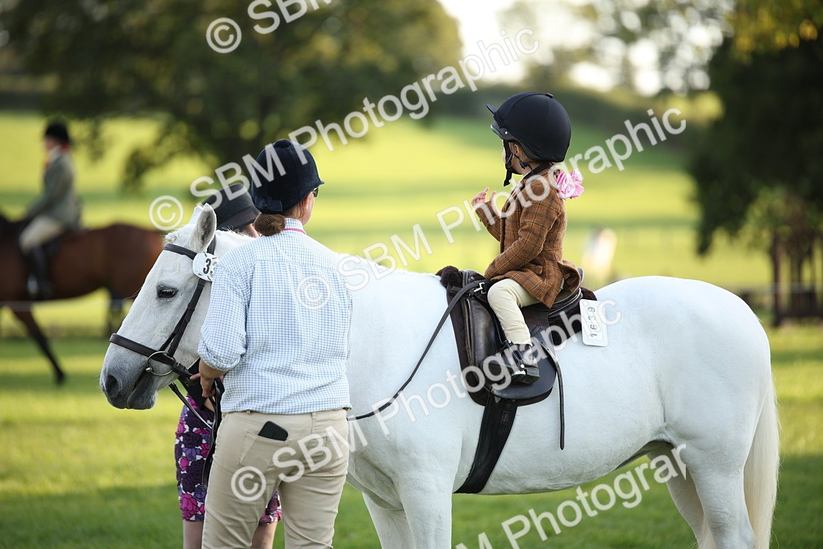 SBM_54460 - S27 - Mature Veteran - Ridden