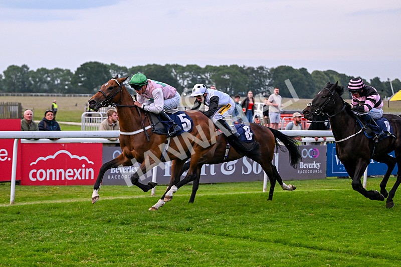 160626-Race 5-Anificas Beauty-5235 - Race 5 20.30pm Churchill Tyres Handicap