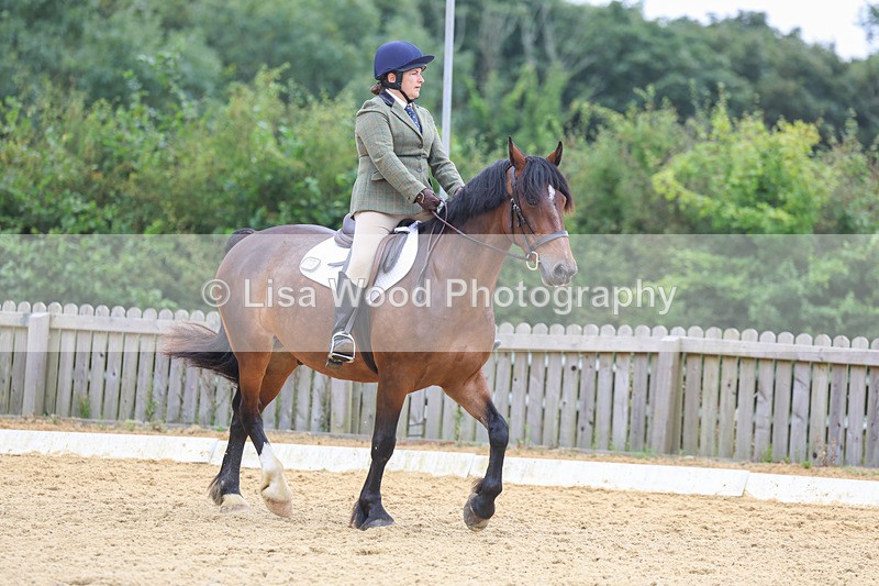 3E7A5190 - Class 2: Intro 4 2024 section B