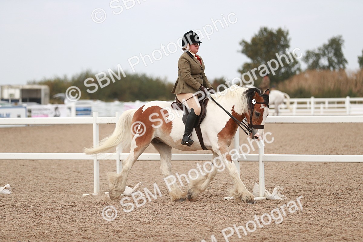 SBM_16659 - Class 214 Ridden Cob