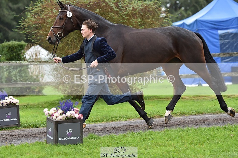 231018-122222-00242 - 031-ARIELLA-Morgan.Wyatt-TrotUp