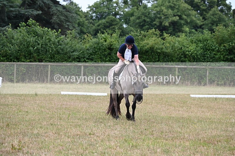 WJ6_1460 - Time 10:28 to 10:40