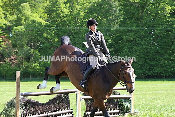 IMG_4811 - Working Hunter