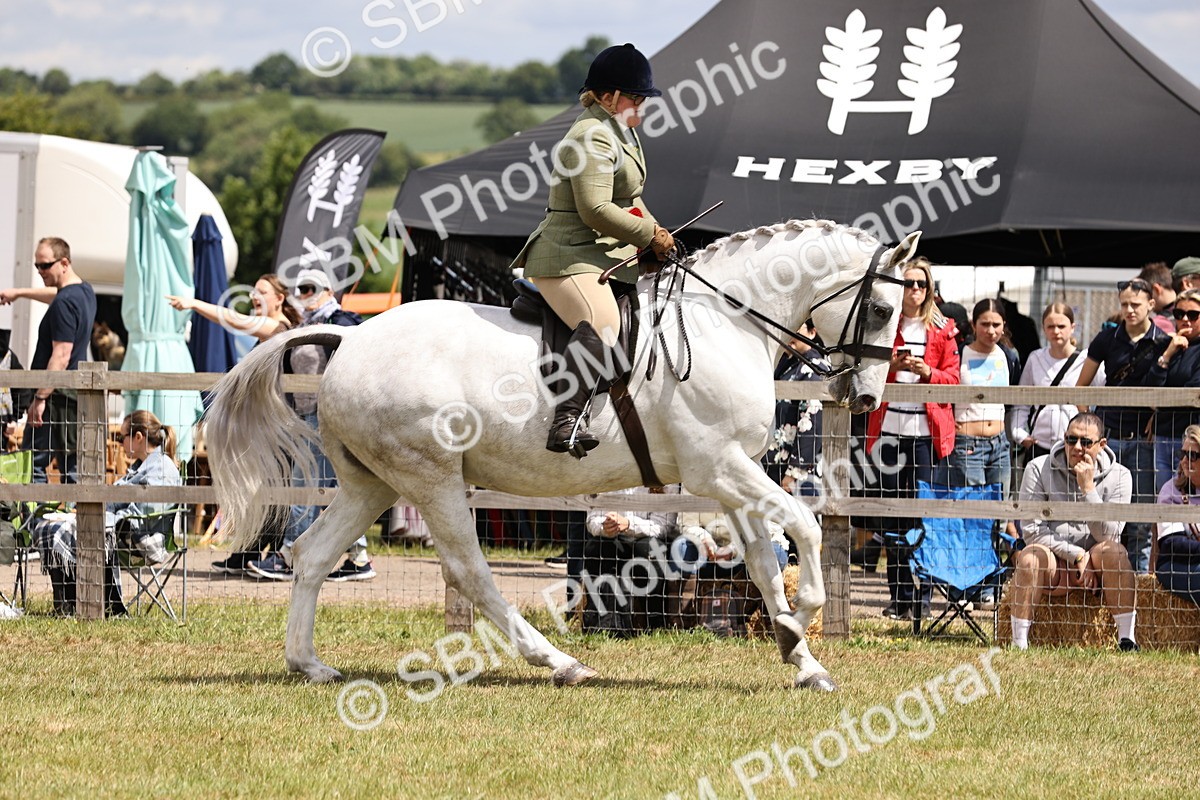 SBM_14795 - Class 88-89 - LIHS BSHA Rising Star of Ridden Hunter Type