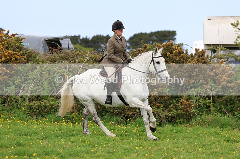 3E7A1257 - Class 7: Ridden Hunter Type