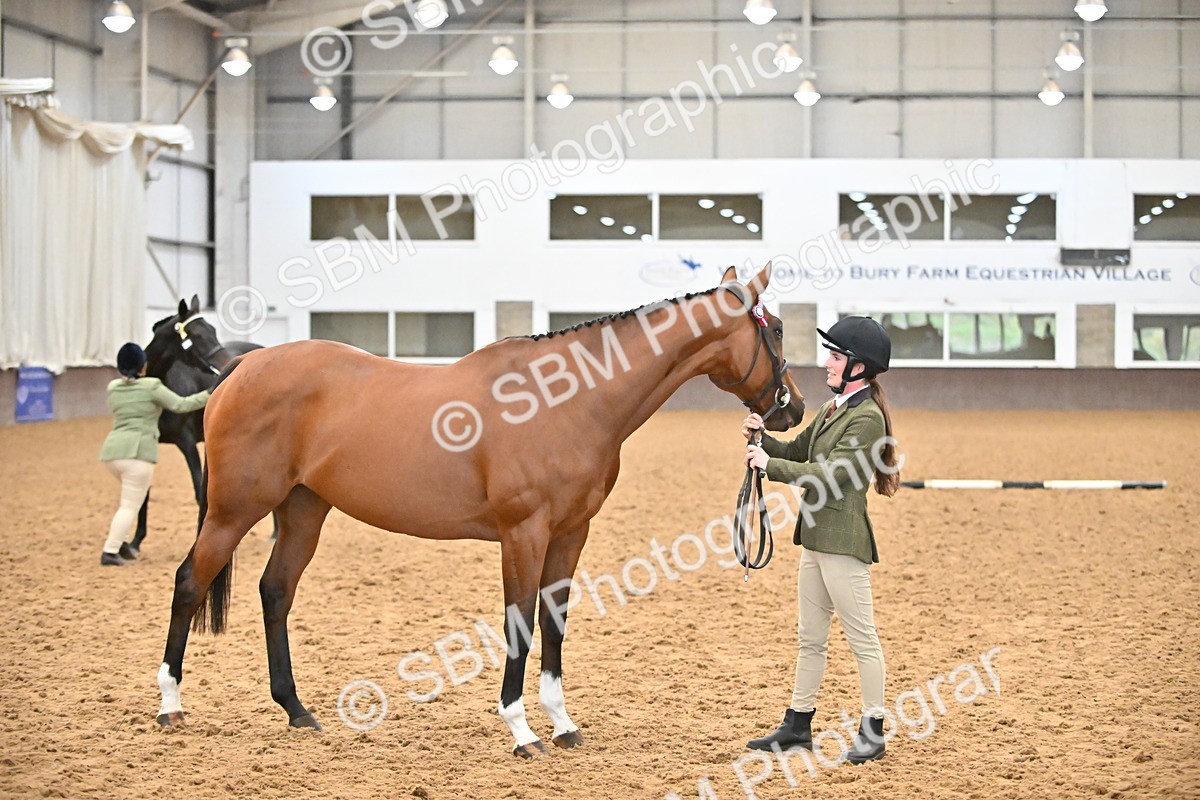 SBM_000133 - Class 6 - BSHA In Hand Racehorse to Show Horse