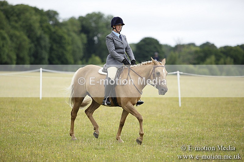 BVR160717-291 - Ring 1 BVRC Show 16/07/17