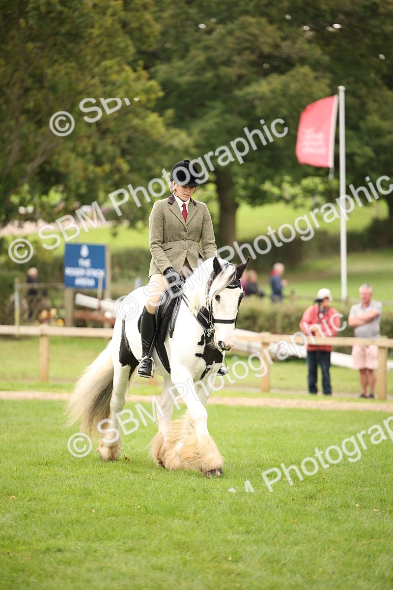 SBM_73537 - S68 - Traditional Cob Ridden