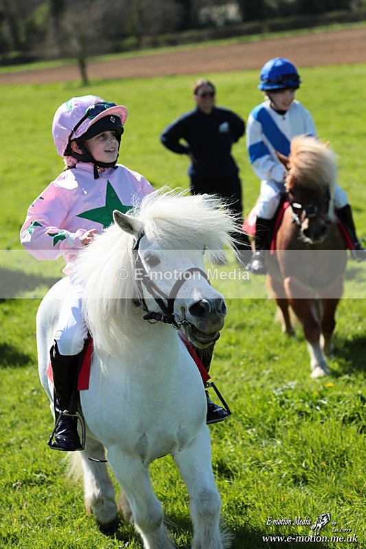 Shet 060426 229 - Shetland Pony Racing Paxford Races Easter Mon 06/04/26