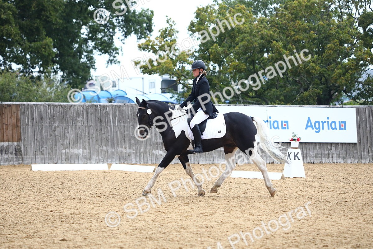 SBM_42744 - D21 - Junior Championship Intro 1