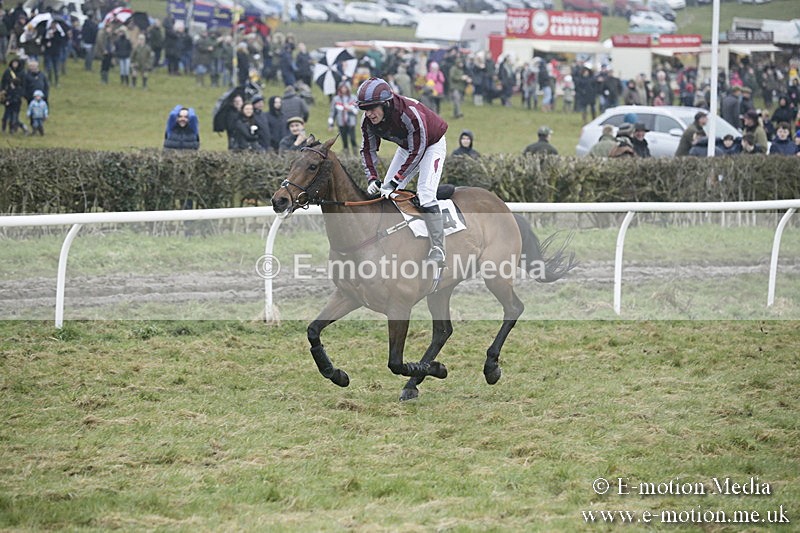 PtP 020418 -329 - Old Berks Point-to-Point Races Easter Monday 02/04/18