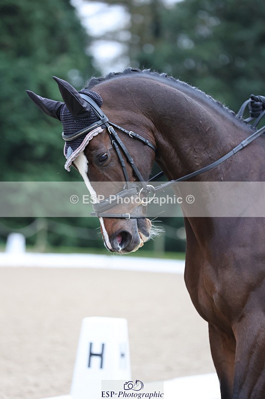 241024-090504-01209 - 202-Toots.Bartlett-C.WHY