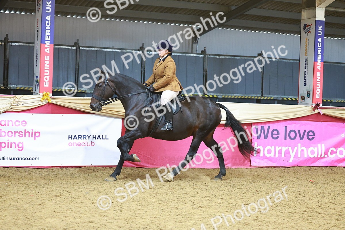 SBM_09432 - Class 102 - HOYS Veteran Qualifier - Ridden Veteran