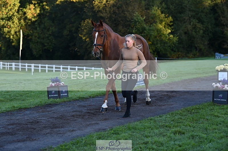 231022-084842-21373 - 643-MIH.TOPGUN-Ellie.Nicholson-TrotUp+SJ