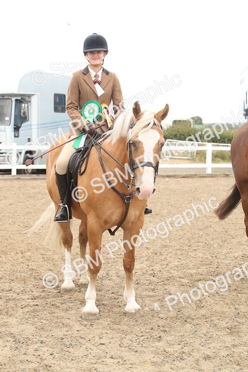 SBM_18312 - Class 509a - Working Veteran - 80cm (15-19)