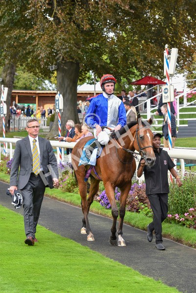 230923-Race 1-Invincible Molly-5911 - Race 1 2.00pm Jigsaw Sports Branding EBF Fillies' Novice Stakes