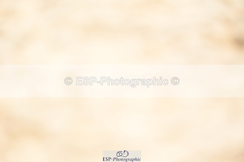 230813-114952-06723 - Cls 12 Elem Silver 10.35 to End