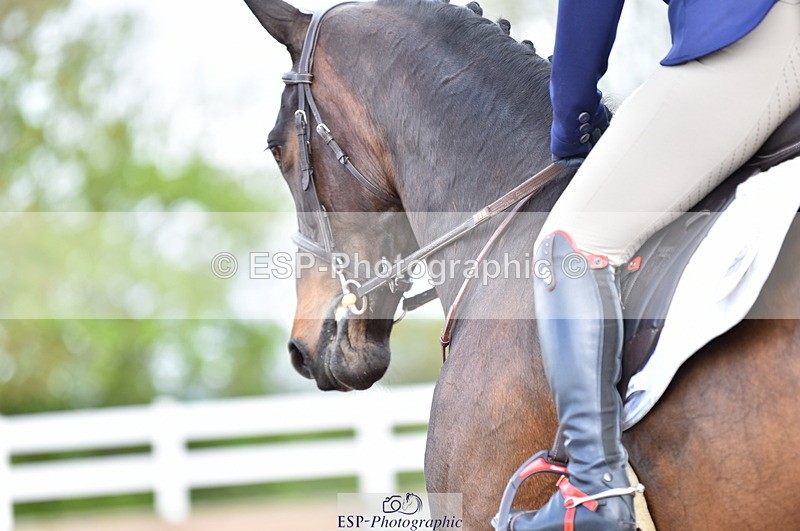 230511A-103236-00263 - BD Cls 4 Novice 22