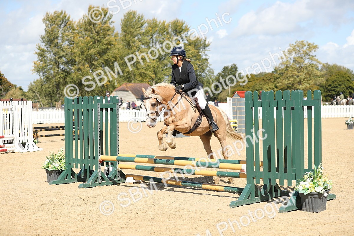 SBM_05601 - J35 - Veteran Rider 60cm