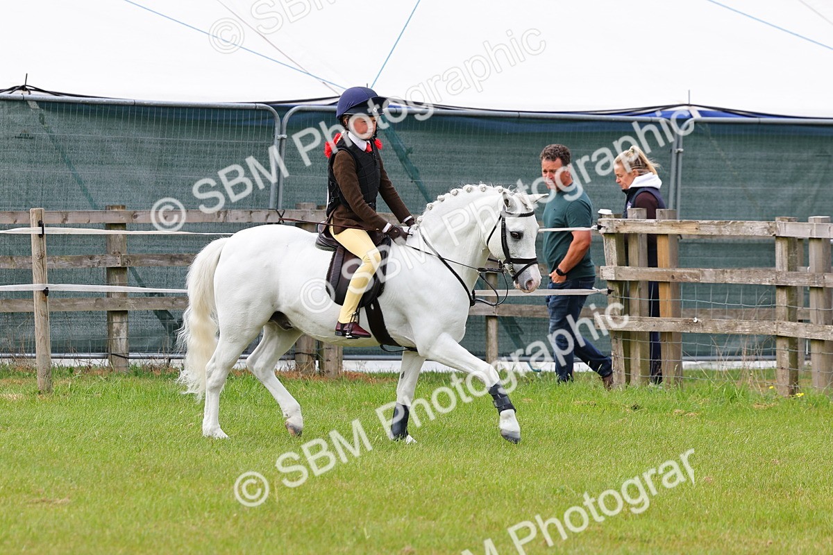 SBM_09580 - Class 44-45 - LIHS BSPS Open Nursery and Cradle Stakes