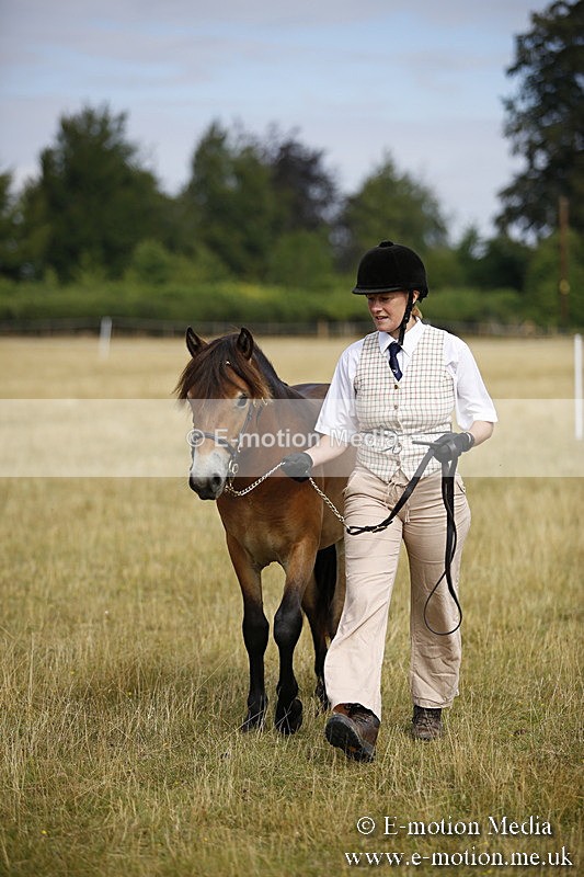 _C7A9171 - BVRC Sow 2018 Ring 2