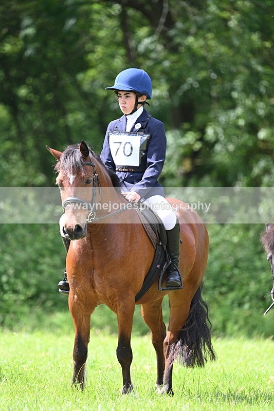 WJ7_1331 - Class 11 Condition & Turnout