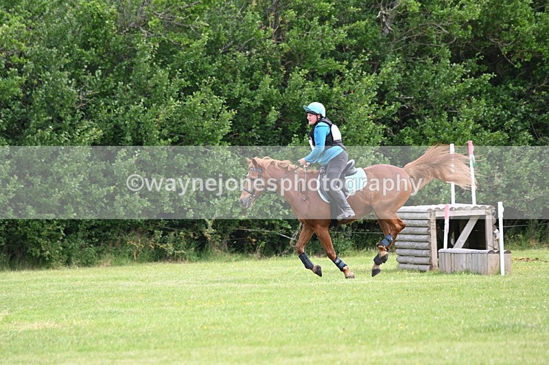 WJ6_2233 - Class 2 40cm