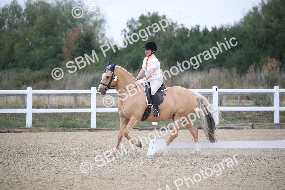 SBM_008201 - Novice 5 - 10.56-13.12