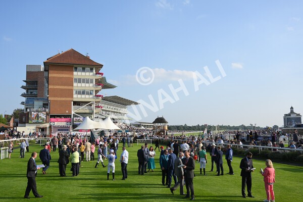 yr05092021r7-44 - Race 7 5.10pm Yorkshire Regiment Stakes