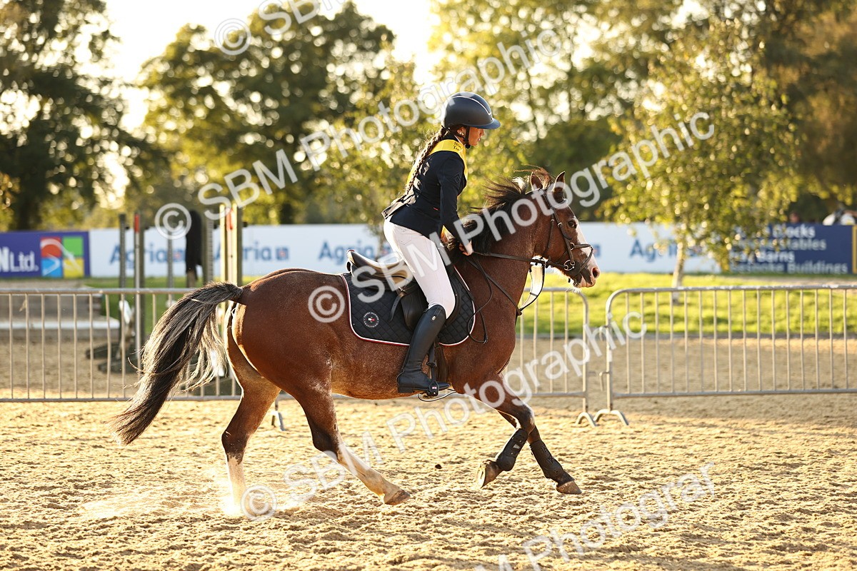 SBM_56141 - J10 - Junior Pony 75cm Championship