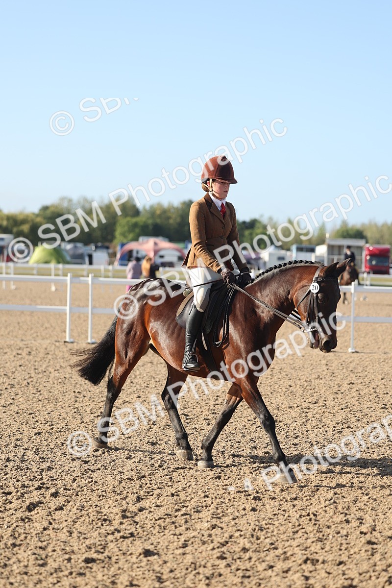 SBM_22123 - Class 801 - Ridden Veterans