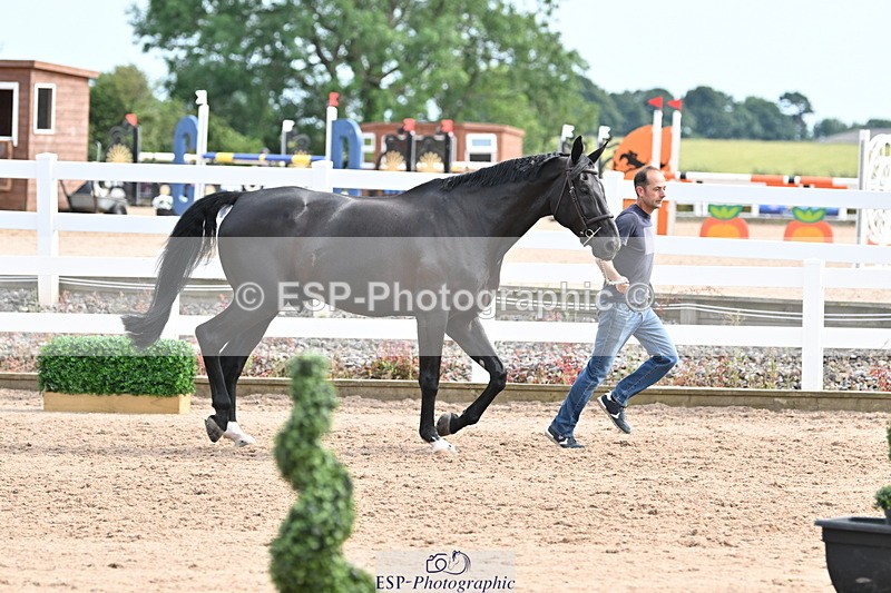 240717A-163627-03444 - Trot Up 4pm to 5pm