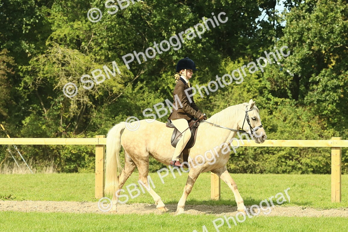 SBM_67414 - S56 - Coloured Pony Ridden