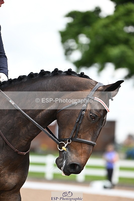 240621A-122514-02553 - Cls 5 BD Novice 37A