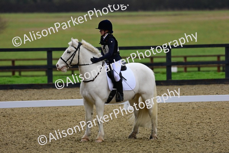 20260125-0594 - Class 9b - Walk Trot Unassisted