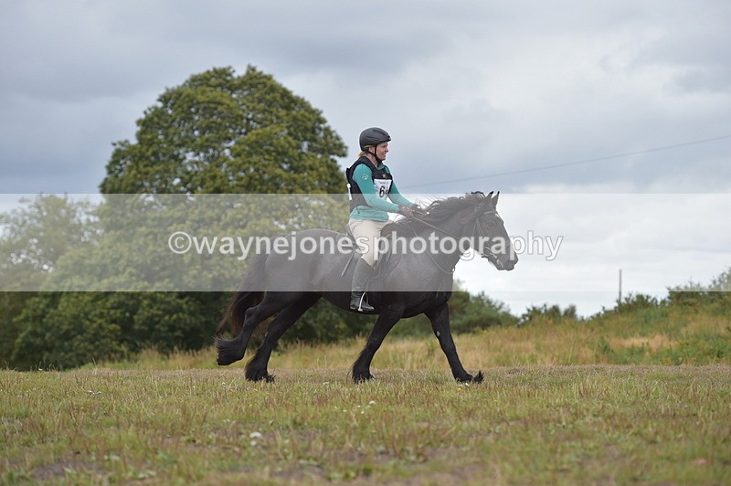 NGP_2765 - XC Time 11:37 to 11:57