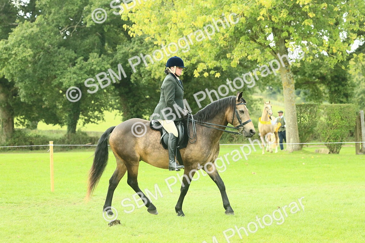 SBM_62579 - S63 - Other Coloured Horse Ridden