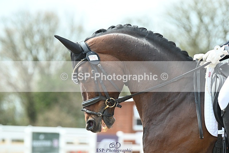 250403-120834-02243 - 048-Angus.Corrie-Deane-Maigret.VD.Watermolen