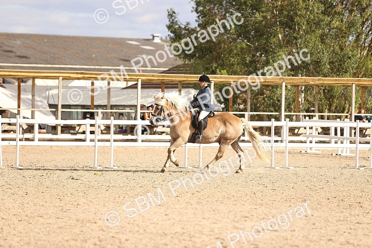 SBM_18228 - Class 423 - Equitation (best rider) Adult