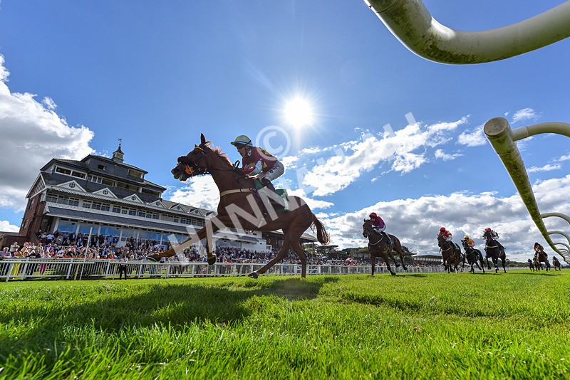 140926-Race 1-Satyress-2-2 - Race 1 2.21pm Constant Security Services Apprentice Handicap
